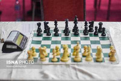 سرپرست نایب رییسی فدراسیون شطرنج منصوب شد