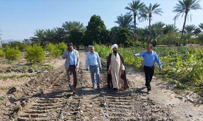  فرماندار رودان: خطر سیلاب در رودخانه ابنما جدی و فوری است