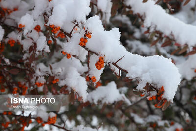 نفوذ «هوای سرد قطبی» به ایران/ تهران چه‌ زمانی برفی می‌شود؟