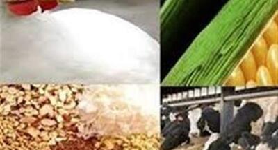  سهمیه دی نهاده‌ها به زودی در بازارگاه بارگذاری می‌شود | جهان نیوز