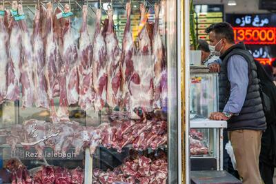 آغاز فروش گوشت گرم دولتی؛ مخلوط گوساله را کیلویی ۷۰۰ تومان بخرید
