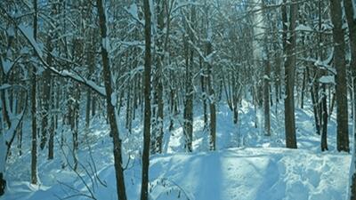 نجات ۳ جوان مفقود در ارتفاعات بندپی شرقی