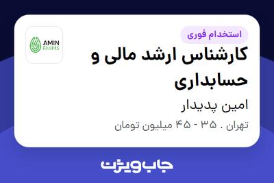  استخدام کارشناس ارشد مالی و حسابداری در امین پدیدار
