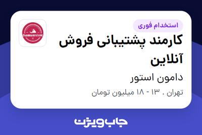  استخدام کارمند پشتیبانی فروش آنلاین - خانم در دامون استور