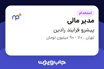  استخدام مدیر مالی در پیشرو فرایند رادین