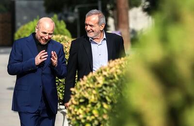 اگر دولت و مجلس نداشته باشیم، اوضاع از این که هست واقعا بدتر می‌شود؟/ تصور جامعه این است که این 2 نهاد عملا وجود ندارند