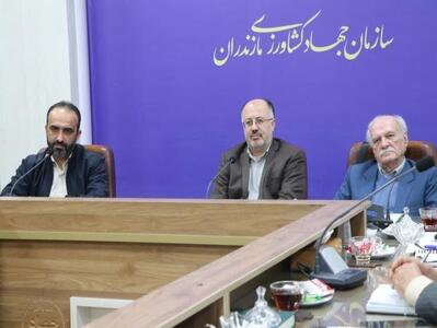  لزوم ایجاد صندوق حمایت برنج و بازنگری در کل زنجیره تولید در مازندران