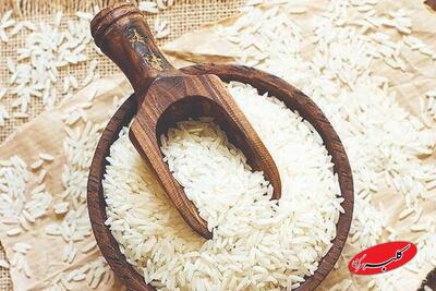  توزیع گسترده برنج در بازار آغاز شد+ قیمت - کلبه سرگرمی
