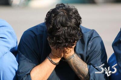 دستگیری سارق کهنه کار برای بار بیست و پنجم - مجله اینترنتی کولاک