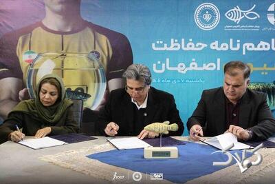 تفاهم‌نامه همکاری سپاهان و اداره کل محیط زیست برای حفاظت از ماهی در حال انقراض آفانیوس - مجله اینترنتی کولاک