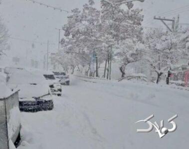 بارش شدید برف در این منطقه مردم را خوشحال کرد؛ سفید پوش شدن این شهر زیبا را ببینید - مجله اینترنتی کولاک
