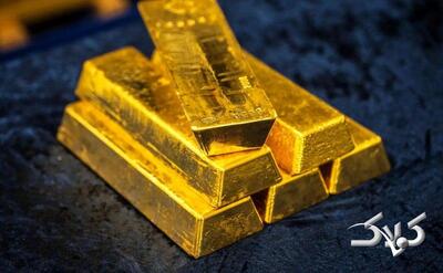 کوله‌پشتی طلایی لو رفت؛ پلیس ۲۵ قطعه شمش کشف کرد - مجله اینترنتی کولاک