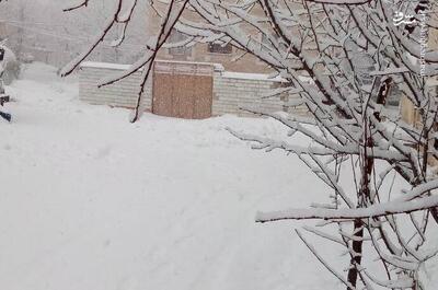 عکس/ خوانسار سفید شد