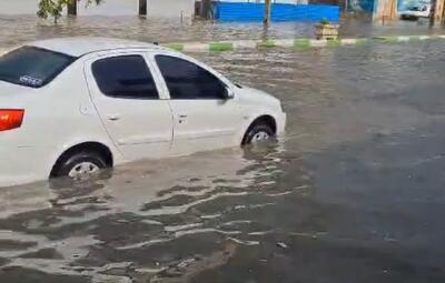  باران، ترافیک و تعطیلی؛ زنجیره تکراری بحران در استان بوشهر