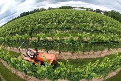 الگوی کشت لحظه‌ای رصد می‌شود