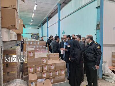 رئیس‌کل دادگستری خراسان جنوبی از انبار‌های فرآورده‌های لبنی بازدید کرد