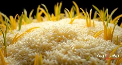 چرا برنج ایرانی اینقدر گران شد؟ | قیمت برنج ایرانی امروز یکشنبه 7 دی 1404 + جدول قیمت