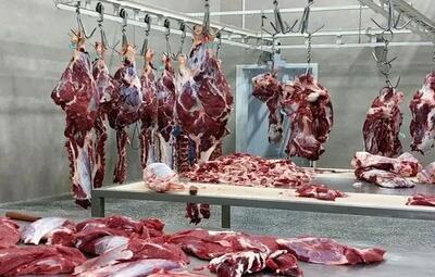 گوشت ارزان وارد بازار شد؛ کاهش ۵۰۰ هزار تومانی هر کیلو