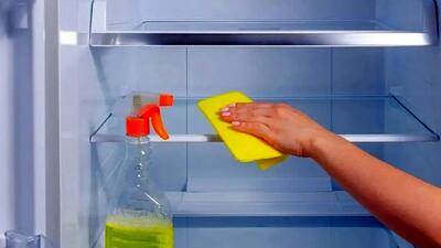  راهنمای کامل تمیز کردن یخچال: از کجا شروع کنیم و چگونه انجام دهیم؟
