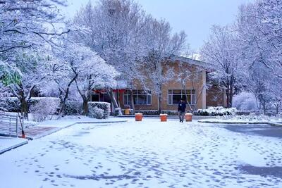  بارش برف در مرز کیله در سردشت + فیلم