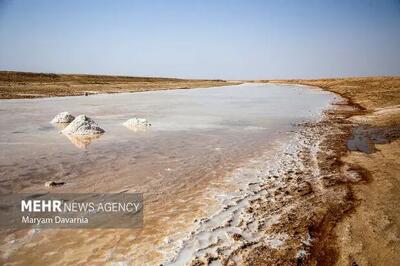 عامل اصلی آلودگی رودخانه شور ملارد مشخص شد