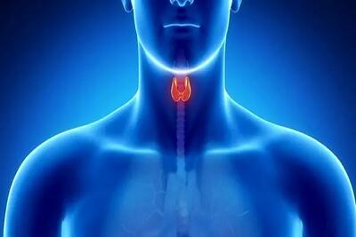 مراقب خرابی «پدال گاز» بدن باشید