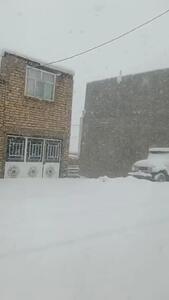 ارتفاع برف در فریدونشهر ۱۰ سانتی‌متر شد + فیلم