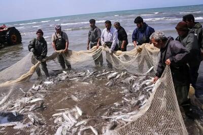 هشدار هواشناسی دریایی و اعلام وضعیت سطح نارنجی در سواحل جنوبی کشور