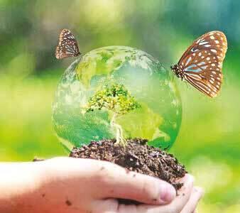 ارایه کلیات «برنامه جامع حفاظت از تنوع زیستی کشور» در شورای عالی محیط‌ زیست