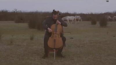 با من خیال کن ؛ پالت