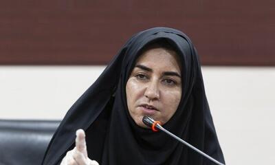 جهش ۹۵ درصدی اعتبارات ملی ایلام در لایحه بودجه ۱۴۰۵