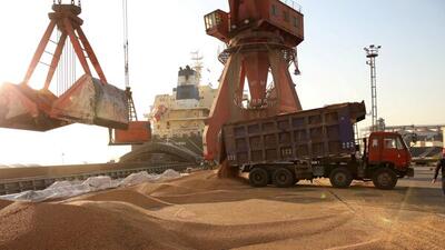 واردات نهاده‌های دامی ۸ درصد افزایش یافت