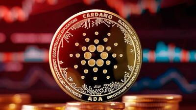 کاردانو برنده بازار سبز امروز 