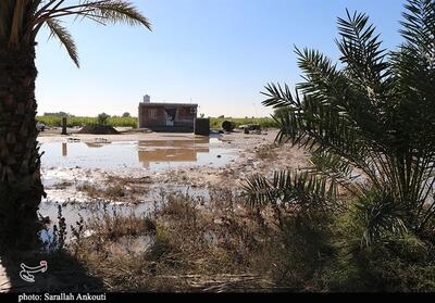 گزارش فرماندار فاریاب از میزان خسارت سیل و اقدامات انجام‌ شده برای جبران آسیب‌ها - تسنیم