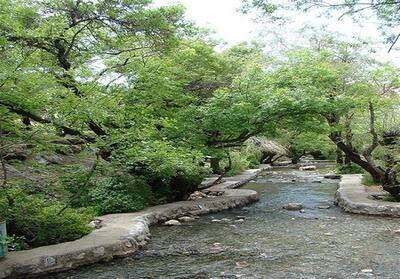 «چشمه قدمگاه» در فارس به عنوان اثر طبیعی ملی ثبت شد - تسنیم