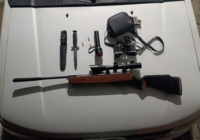 شکار شبانه در پرور ناتمام ماند/بازداشت متخلفان پیش از شلیک - تسنیم