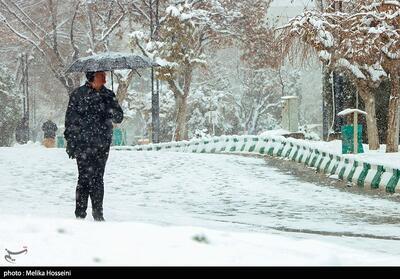 بالاخره تبریز سفیدپوش شد؛ پایان چشم‌انتظاری مردم با نخستین برف زمستانی - تسنیم