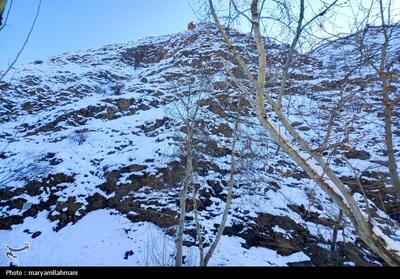 ورود سامانه بارشی تازه به سمنان؛ باران، برف و باد در راه استان - تسنیم