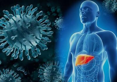 یزد در مسیر حذف هپاتیت C/ نتایج درمان بیماران امیدوارکننده است - تسنیم