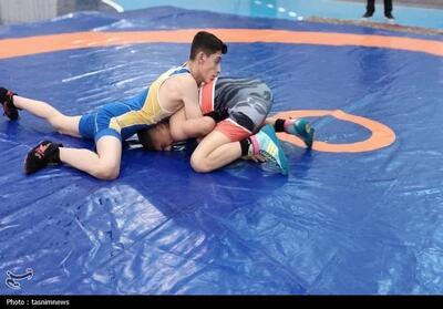 برای احیای کشتی استان از همه ظرفیت‌ها استفاده می‌کنیم - تسنیم