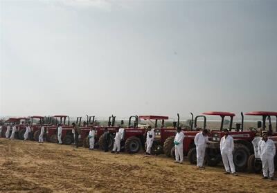 رئیس سازمان حفظ نباتات: برای مقابله با هجوم احتمالی ملخ صحرایی آمادگی داریم  فیلم - تسنیم