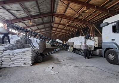 توزیع گسترده کود اوره؛ گامی محکم در حمایت از کشاورزان  استان سمنان - تسنیم