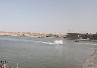 نقشه راه تولید میگوی پرورشی هرمزگان برای سال زراعی 1405 تدوین شد - تسنیم