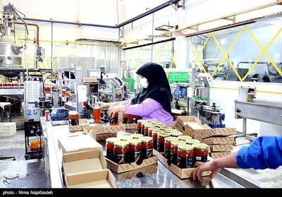 افتتاح واحدهای صنعتی استان بوشهر با سرمایه‌گذاری 2.6 همت - تسنیم