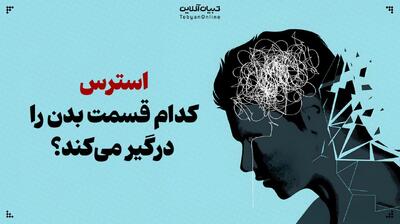 استرس کدام قسمت بدن را درگیر می‌کند؟