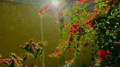  فیلمی از بارش رحمت الهی در آسمان خنج