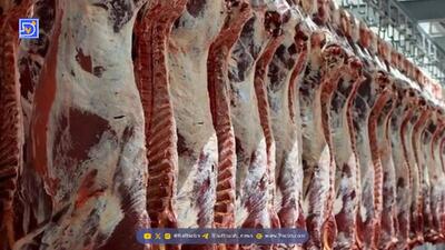 اختلاف قیمت ۲۵ درصدی گوشت گوسفندی در میادین میوه نسبت به سطح شهر/ درصد برنج و شکر چقدر بود؟