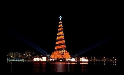 درخت کریسمس مکزیکی‌ها سوخت