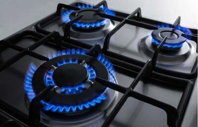 مصرف ۷۵ درصد گاز در بخش خانگی؛ مشترکان صرفه‌جویی کنند