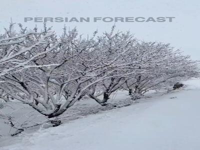 بارش برف به همراه رعد در شهرکرد